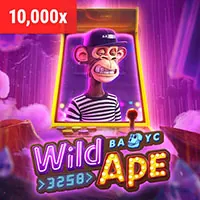 Kingbet Casino sử dụng cookie để cải thiện trải nghiệm người dùng